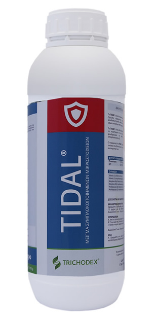 tidal-1.jpg